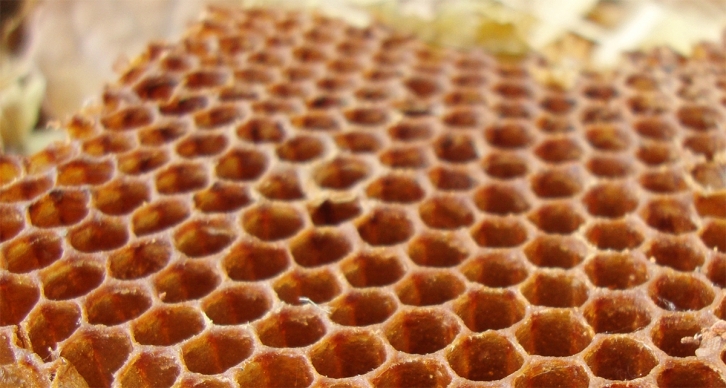 Φυσική Κηραλοιφή